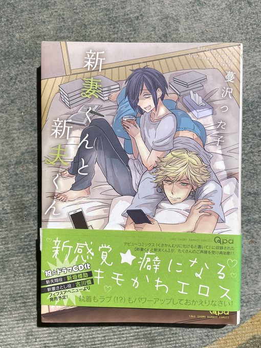 【初版带腰】日文原版漫画 新妻くんと新夫くん 蔓沢つた子