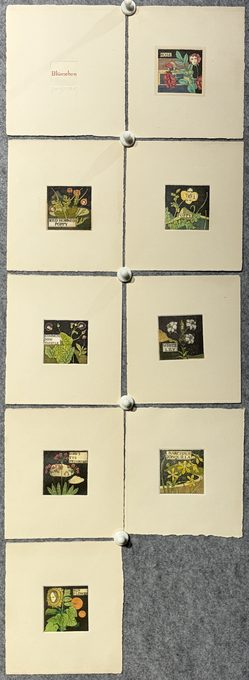 山下ムジ《Blümchen 小花》版画集 限定50部之30番