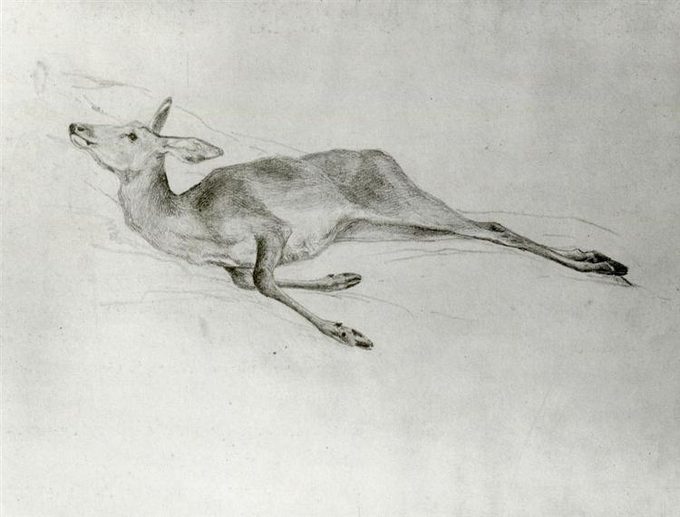 Deer (1872)