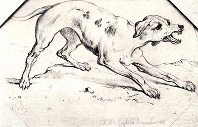 Dog (1862)